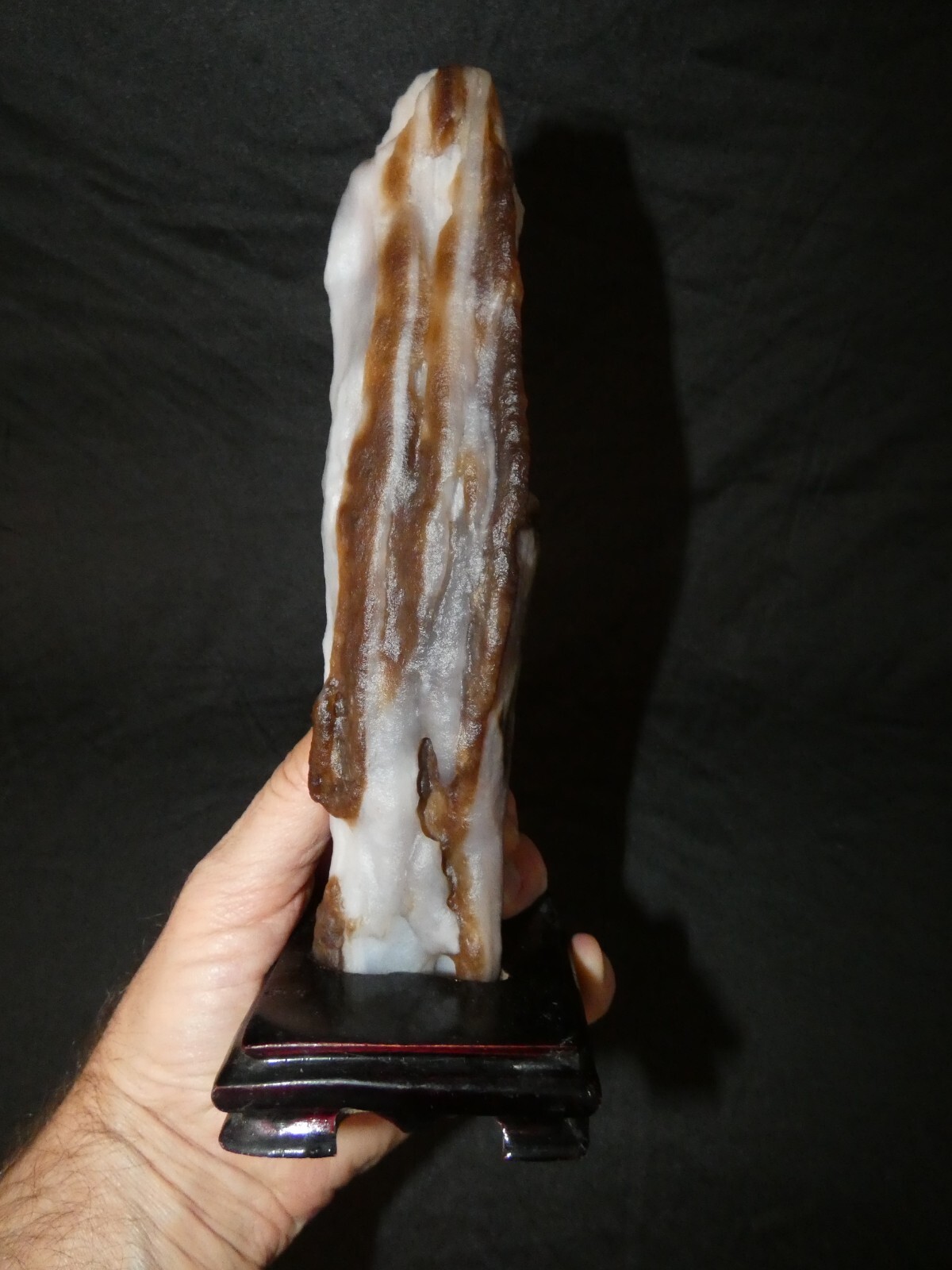 Beautiful Natural Opalized Petrified Wood, from China, U.S. Army Vet Seller