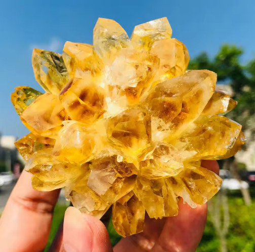 300g Natural Citrine Quartz Geode Cluster Yellow Crystal Collection Home Decor