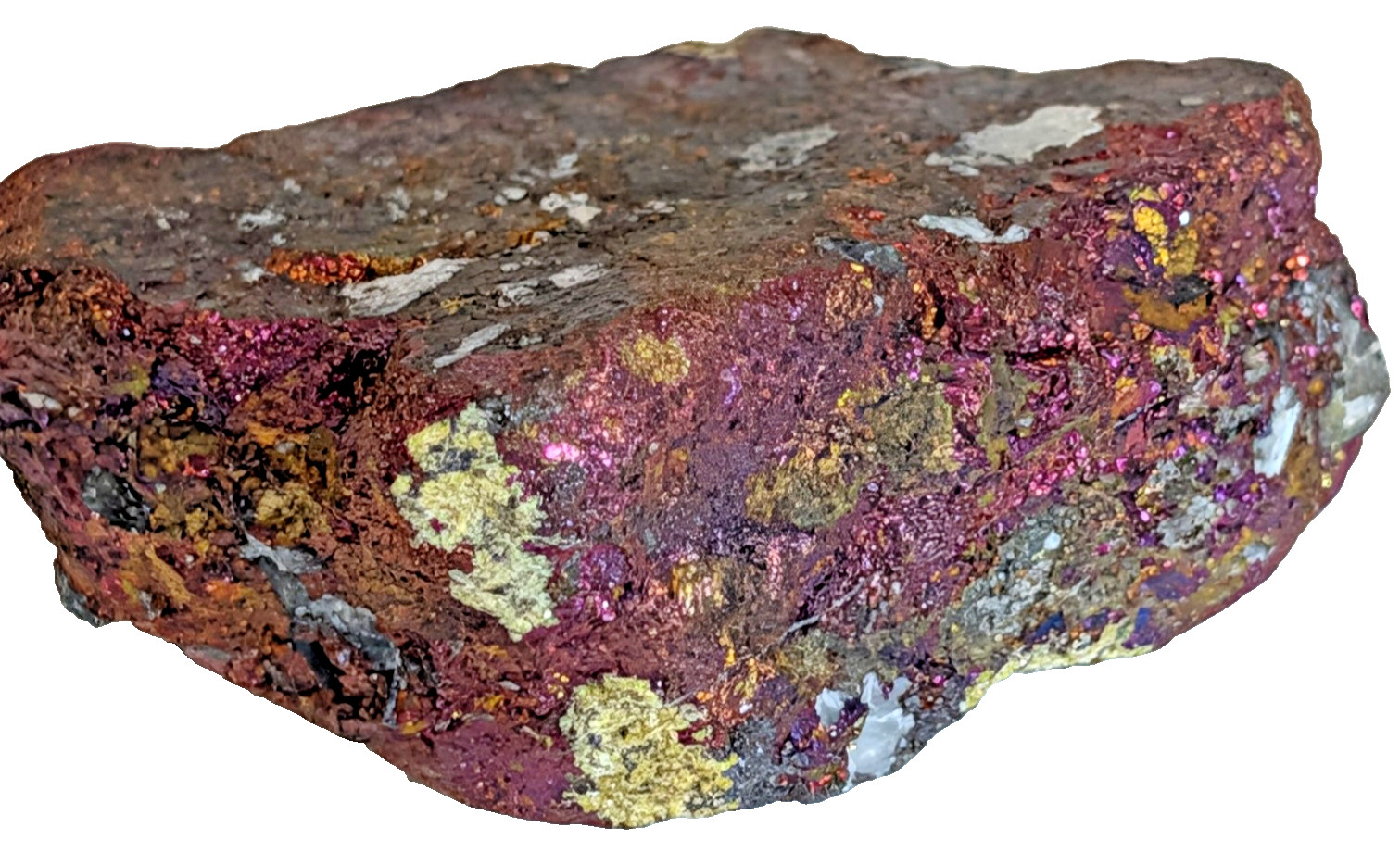 Bornite Peacock Ore Iridescent Tarnish Mexico Copper Sulfide Specimen BEAUTIFUL