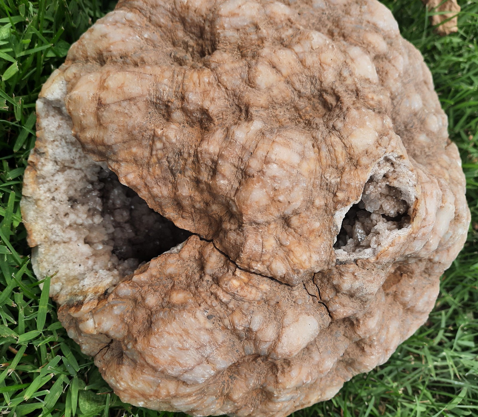 8″ Smokey Quartz Fractured Geode. Southern Kentucky