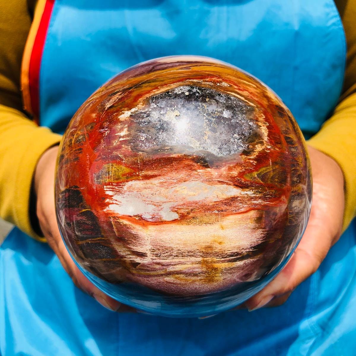 4.59LB Natural Petrified Wood Sphere Polished Crystal Ball reiki healing