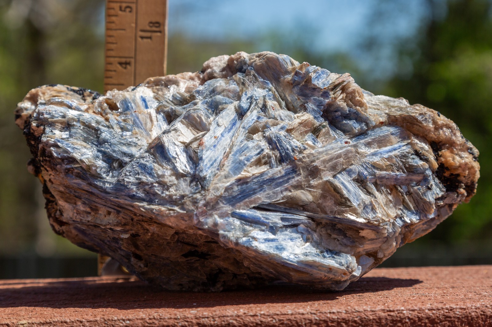 Kyanite with Quartz – 5lb 6.4oz (2449g) – Rough Specimen Crystal w/ Inclusion