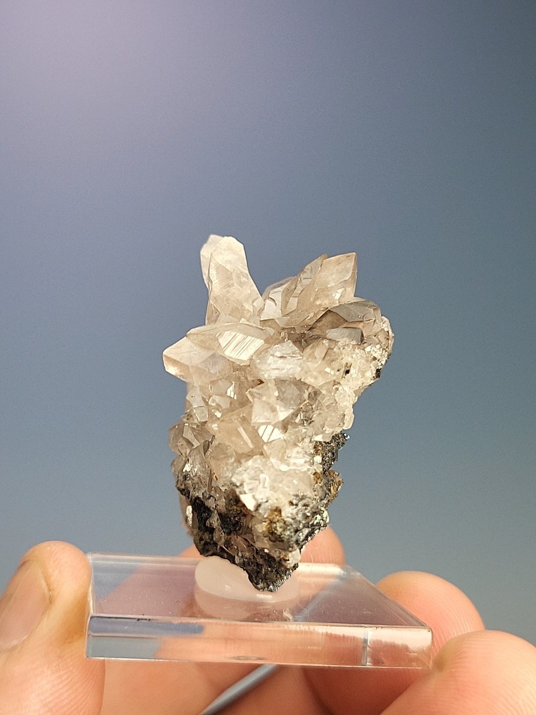 SHOWY Smithsonite, Tsumeb Mine, Namibia. (Small Cab) Ex Soregaroli, Gazmuri…