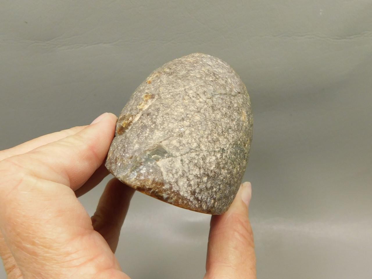 Brazilian Piranha Agate Collector Polished Rock Nodule #O15