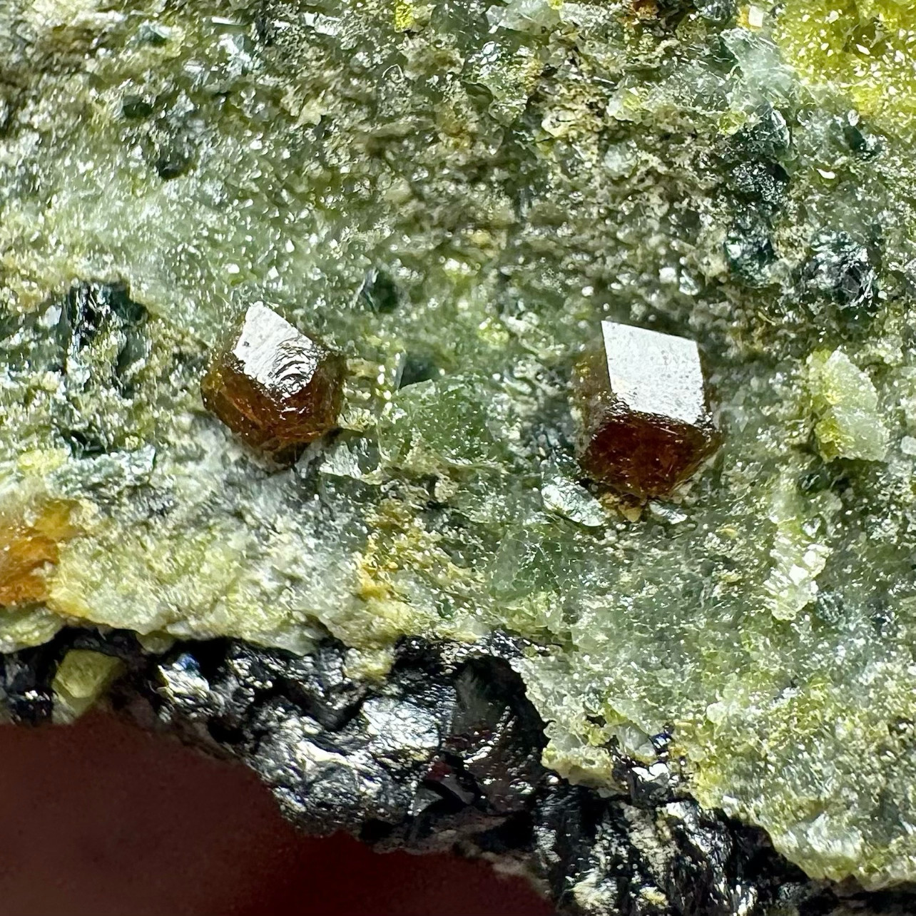 50 Gram Ultra Rare Magnetite W/Vesuvianite Crystals On Matrix From Afghanistan