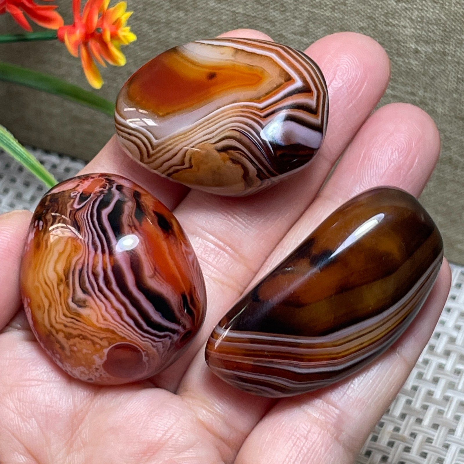 3pcs Crazy Lace SILK Banded Polished Tumbled Stone Madagascar Decor 77g