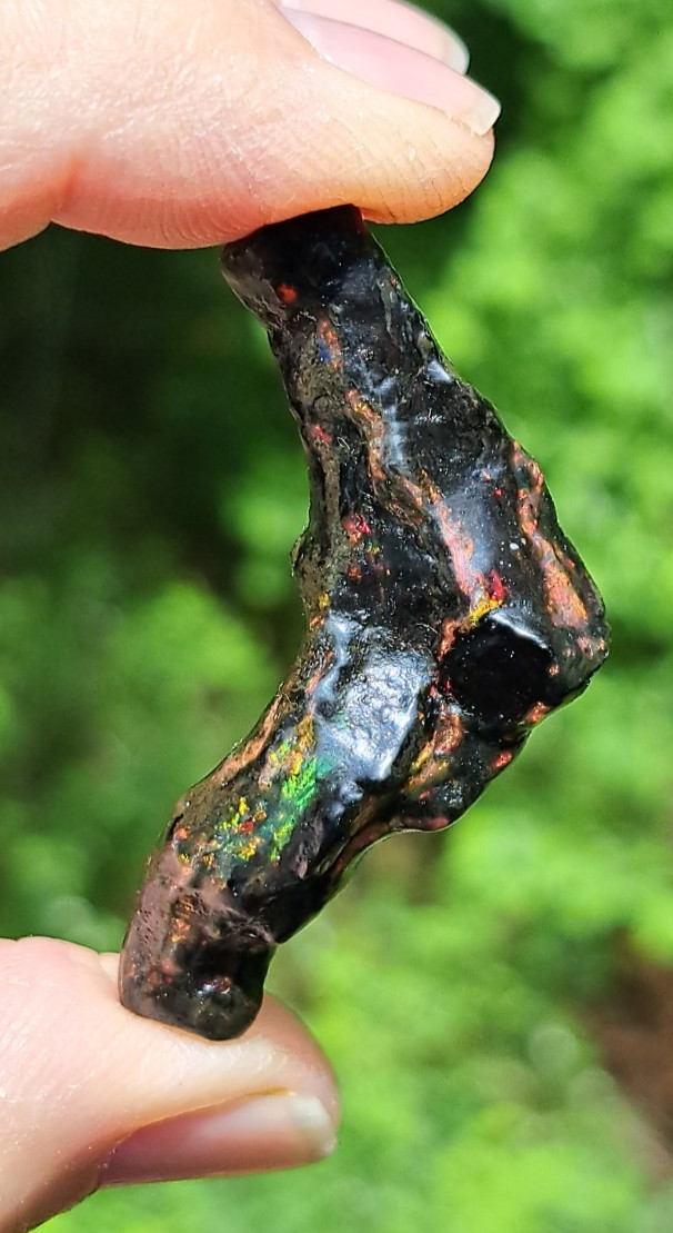 Huge Multicolor 38.52ct Indonesian Wood Opal Fossil Red, Green, & Yellow Flashes