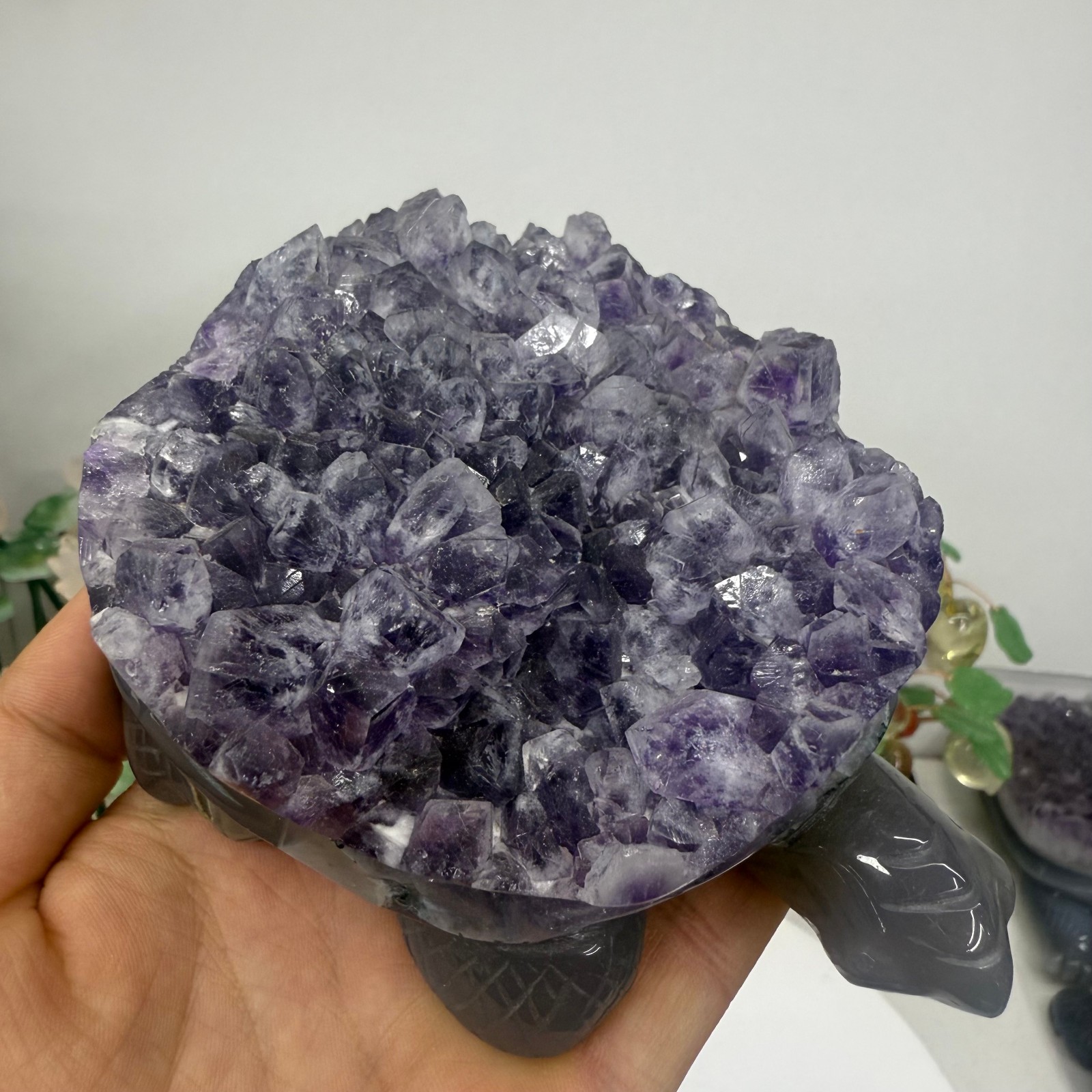 Natural agate carved Turtle quartz crystal Reiki Heal gift random 1pc