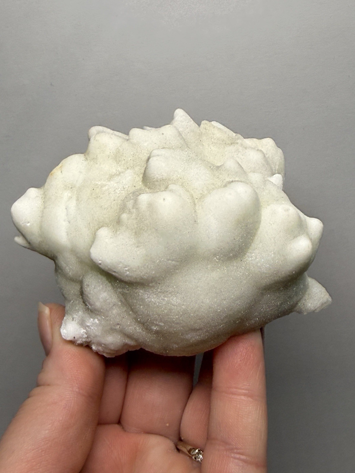 Superb White Flos Ferri Aragonite “Flower of Iron” | Lom Vitošov, Czech Republic