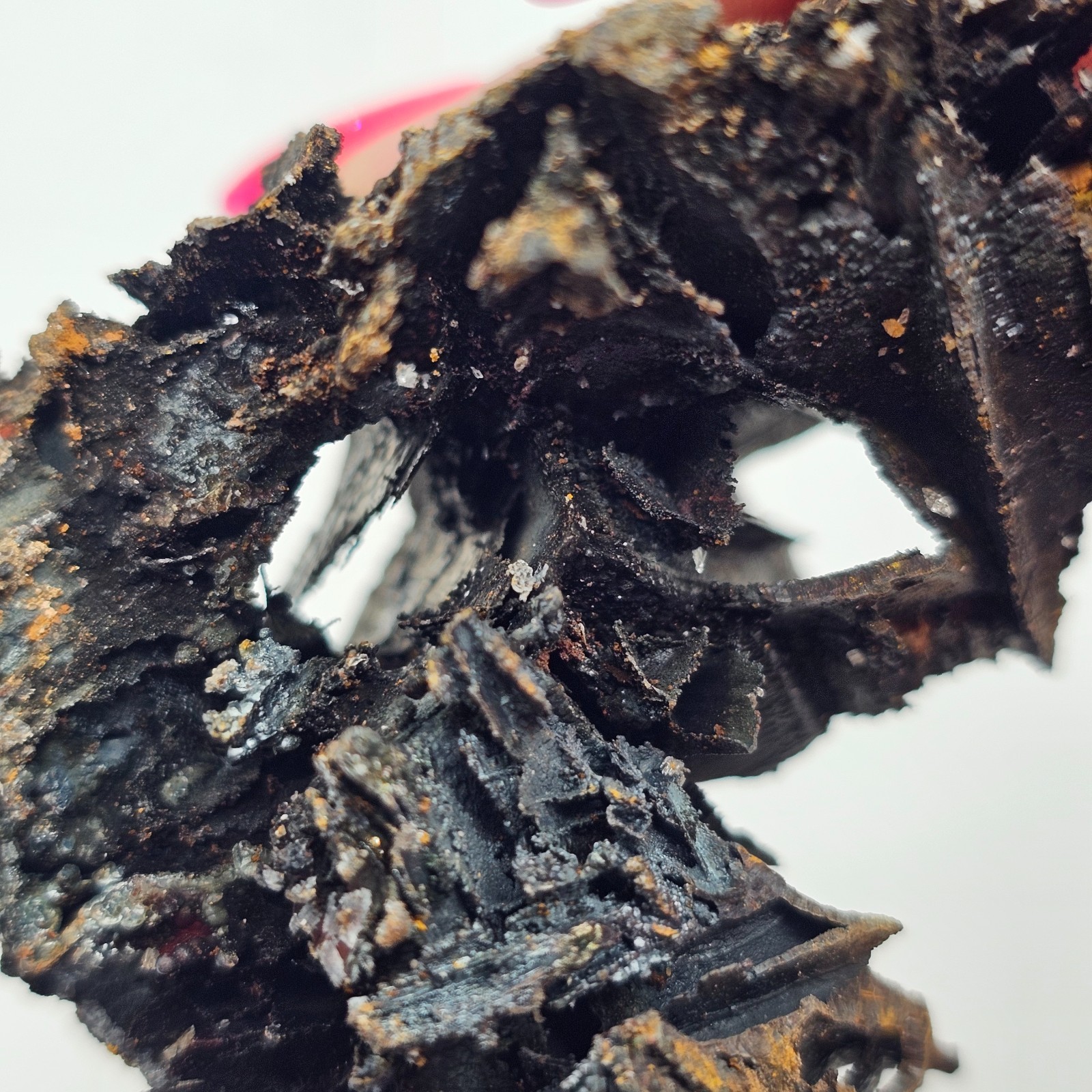 Goethite and Limonite Epimorphs of Gypsum Selenite Santa Eulalia, Mexico