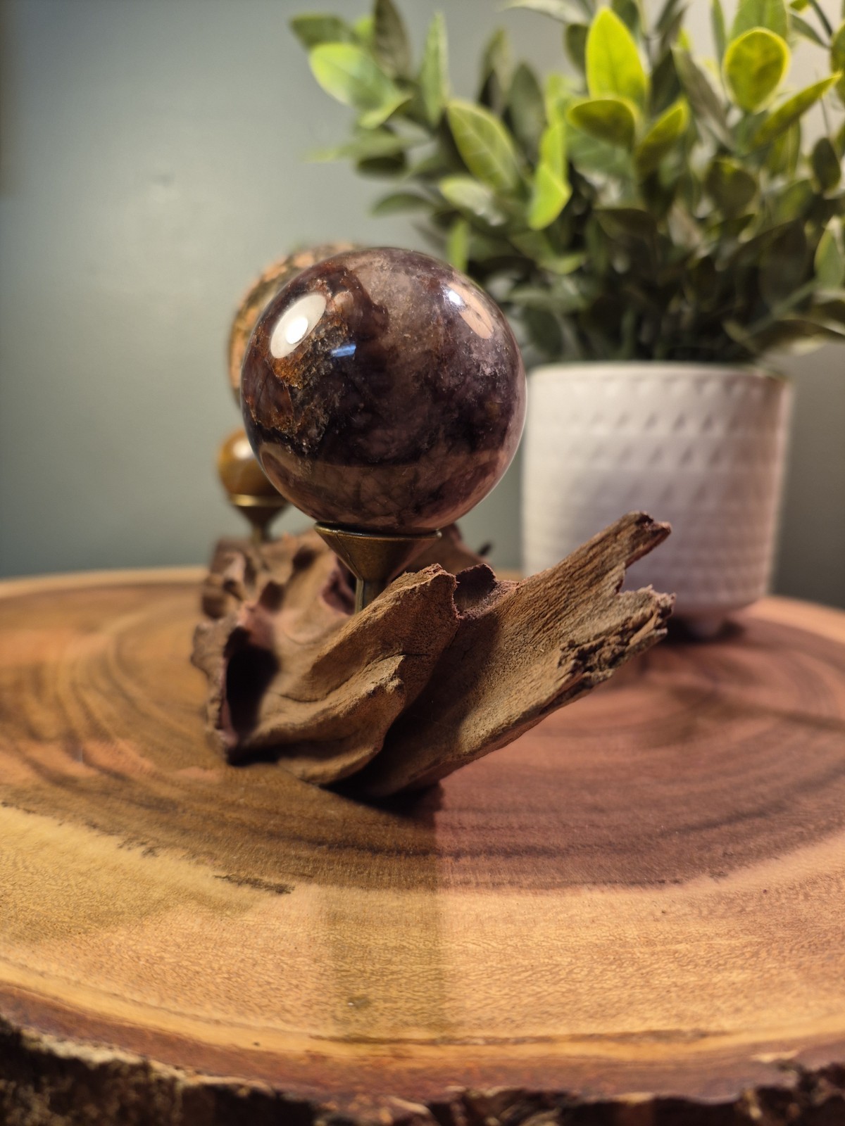 Drift Wood Sphere Holder XS – MED 4 Spheres