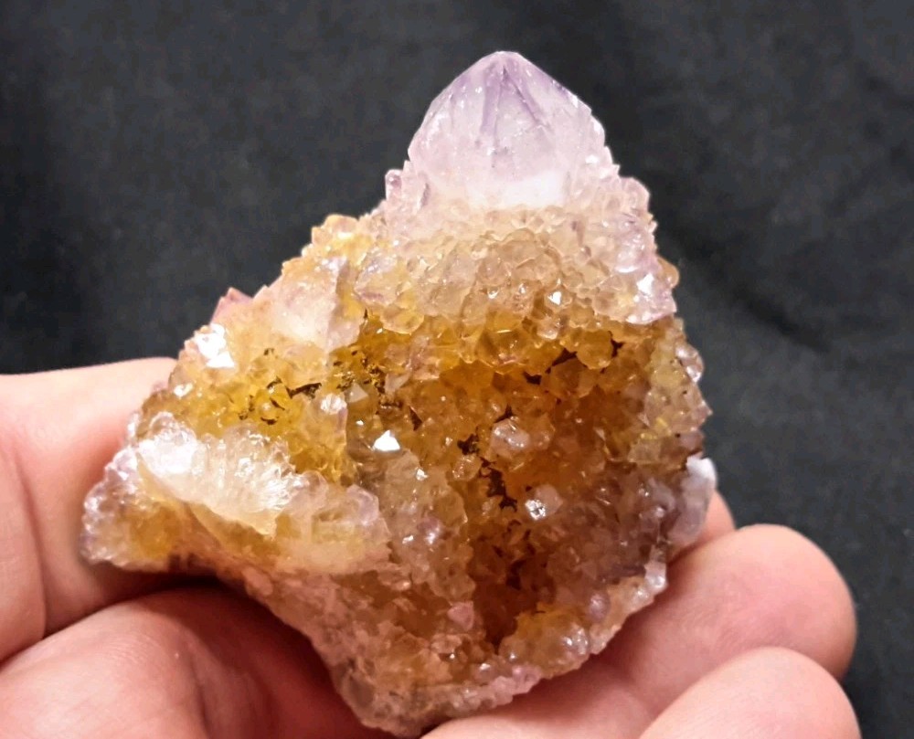 2″ CACTUS QUARTZ AMETHYST AMETRINE from Mpumalanga, South Africa