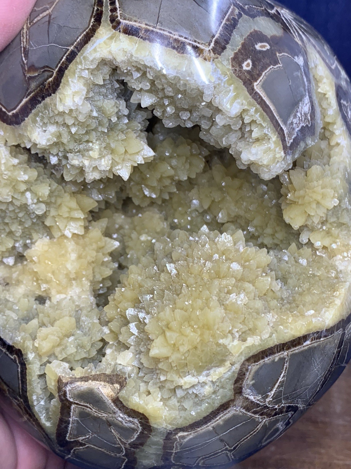 Septarian Nodule Hollow Free Form (Utah) Description Card