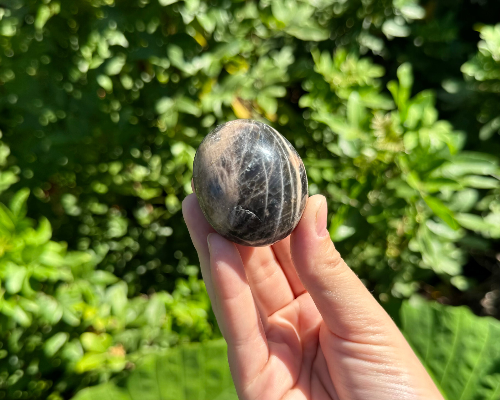 Black Moonstone Palm Stone: Hand Polished Moonstone Pebbles (Wholesale Bulk Lot)