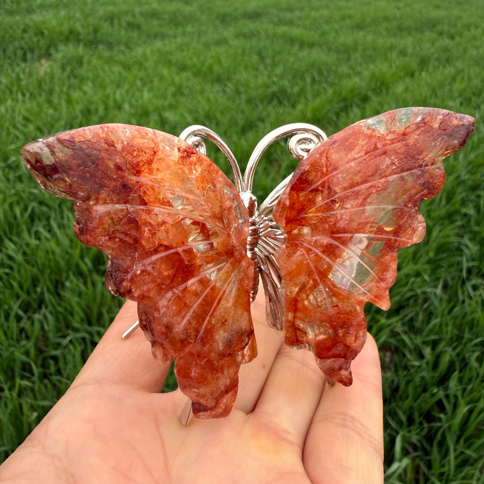 3.6″ Natural red gum flower Carved Butterfly Reiki Crystal Skull Decor gift 1pc