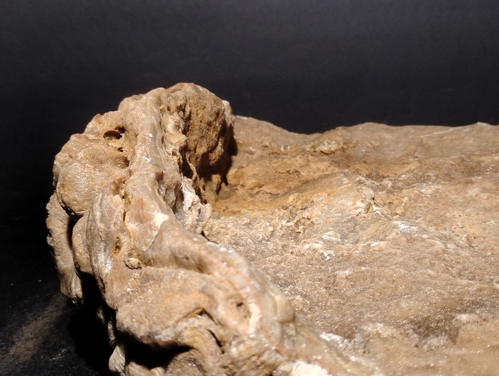 16lb Phosphorescent Flowstone “Lip” – Fortress Keep Mine, MO – Rare Afterglow