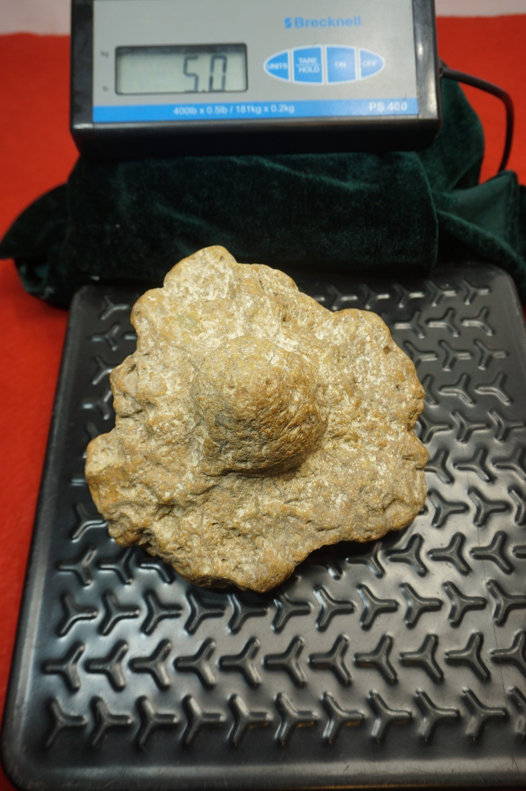Flying Saucer Kentucky Geode