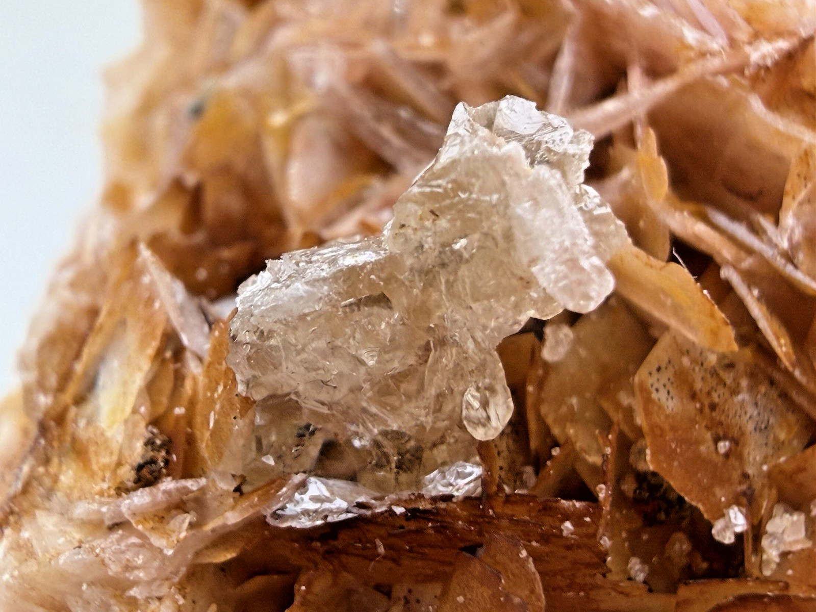 Orange Barite with Galena and Cerussite in Matrix from Morocco 104 g.