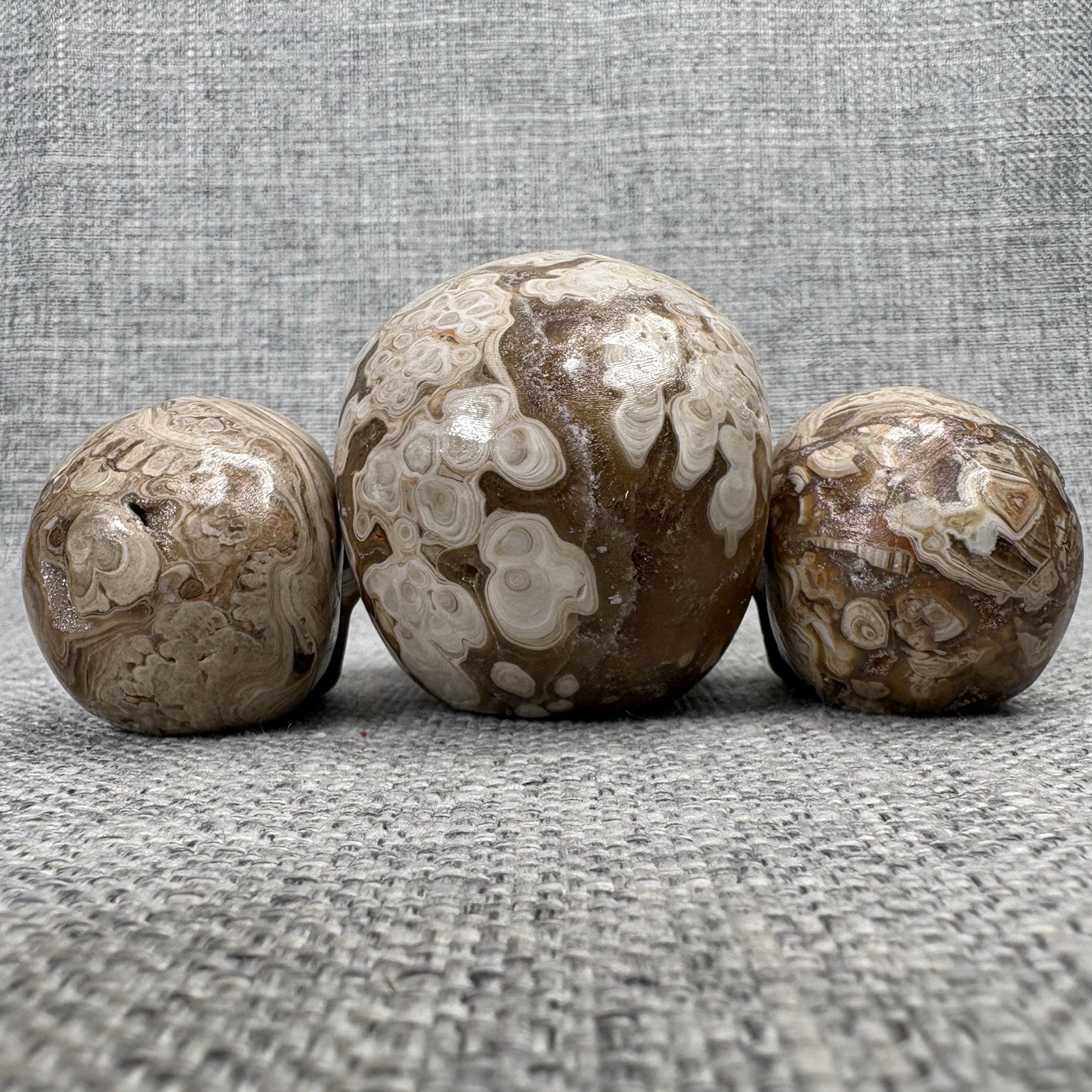 Amber Agate Crystal Skull Set 3pc Druzy Hand Carved Polished Stone Brown