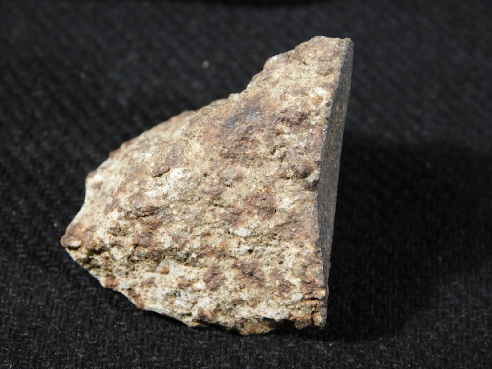 Classified NWA 8245 METEORITE 100% Natural FELL on Erfoud, Morocco 47.3gr
