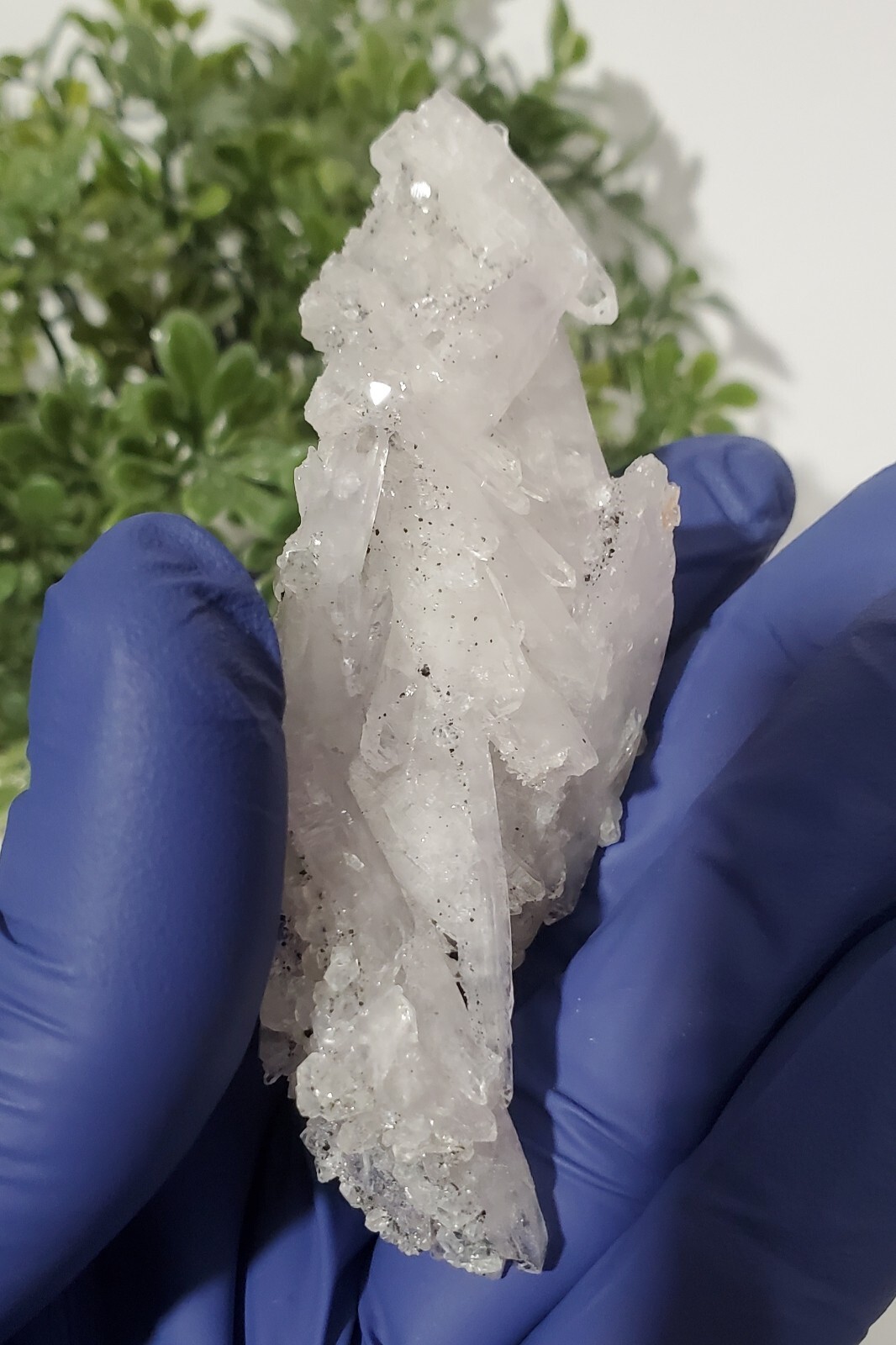 Hydroxyapophyllite Rock Cluster, Khandivali India 34g