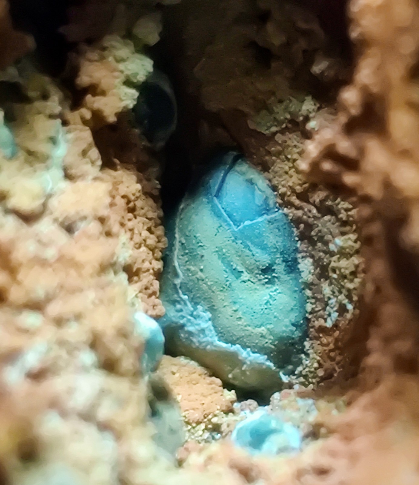 Fluorescent Adamite, Smithsonite on Limonite. Ojuela Mine, Mexico. 163 grams.