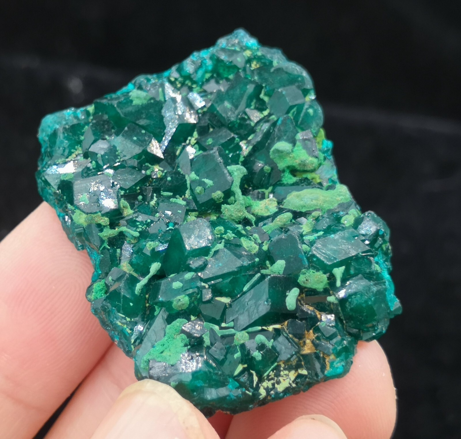 38mm Malachite on Gemmy Dioptase mined from Congo, Natural Mineral Specimen