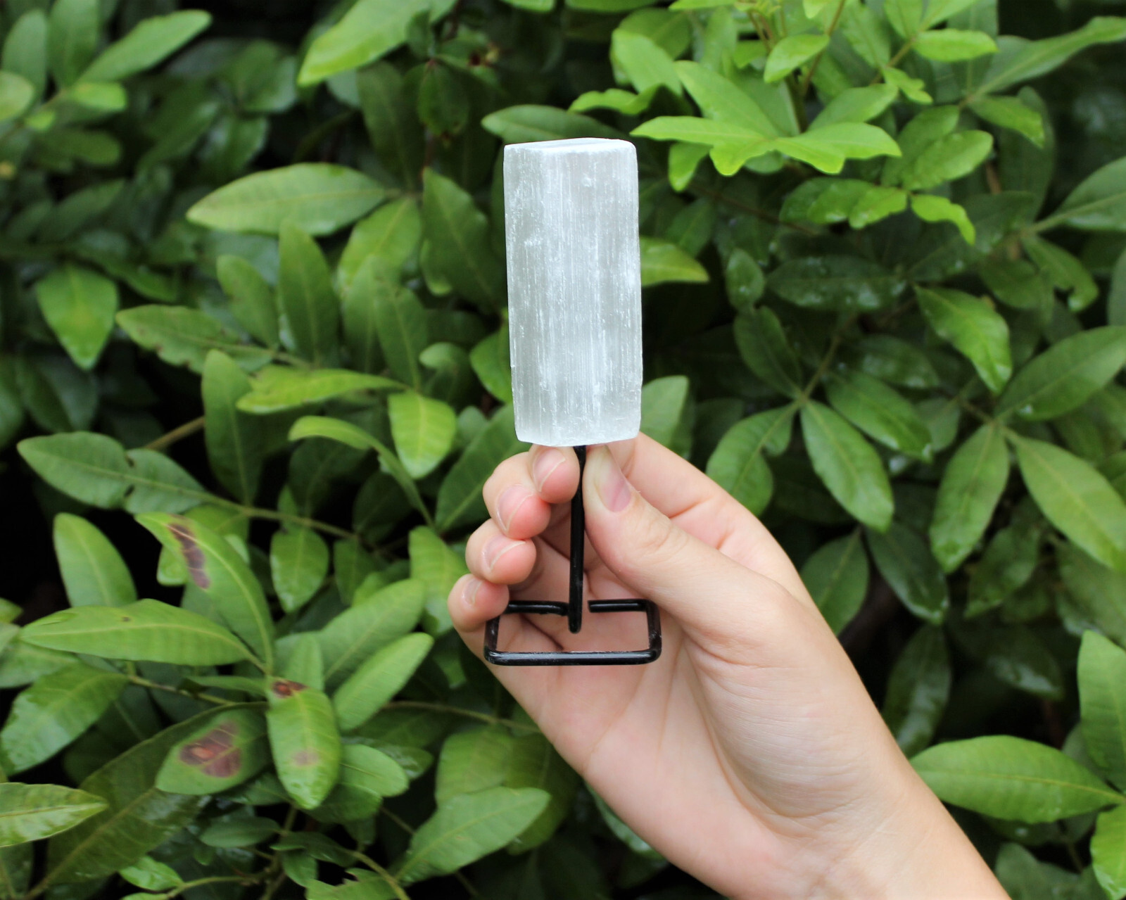 Selenite Stick On Metal Stand (Selenite Crystal On Pin, Natural Selenite Wand)