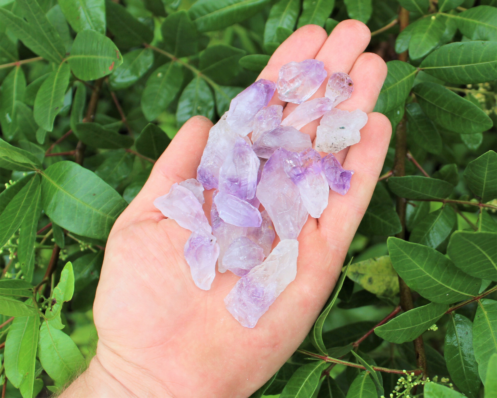 Wholesale CLEARANCE Amethyst Crystal Points, 5 lb HUGE Lot Natural Rough Quartz