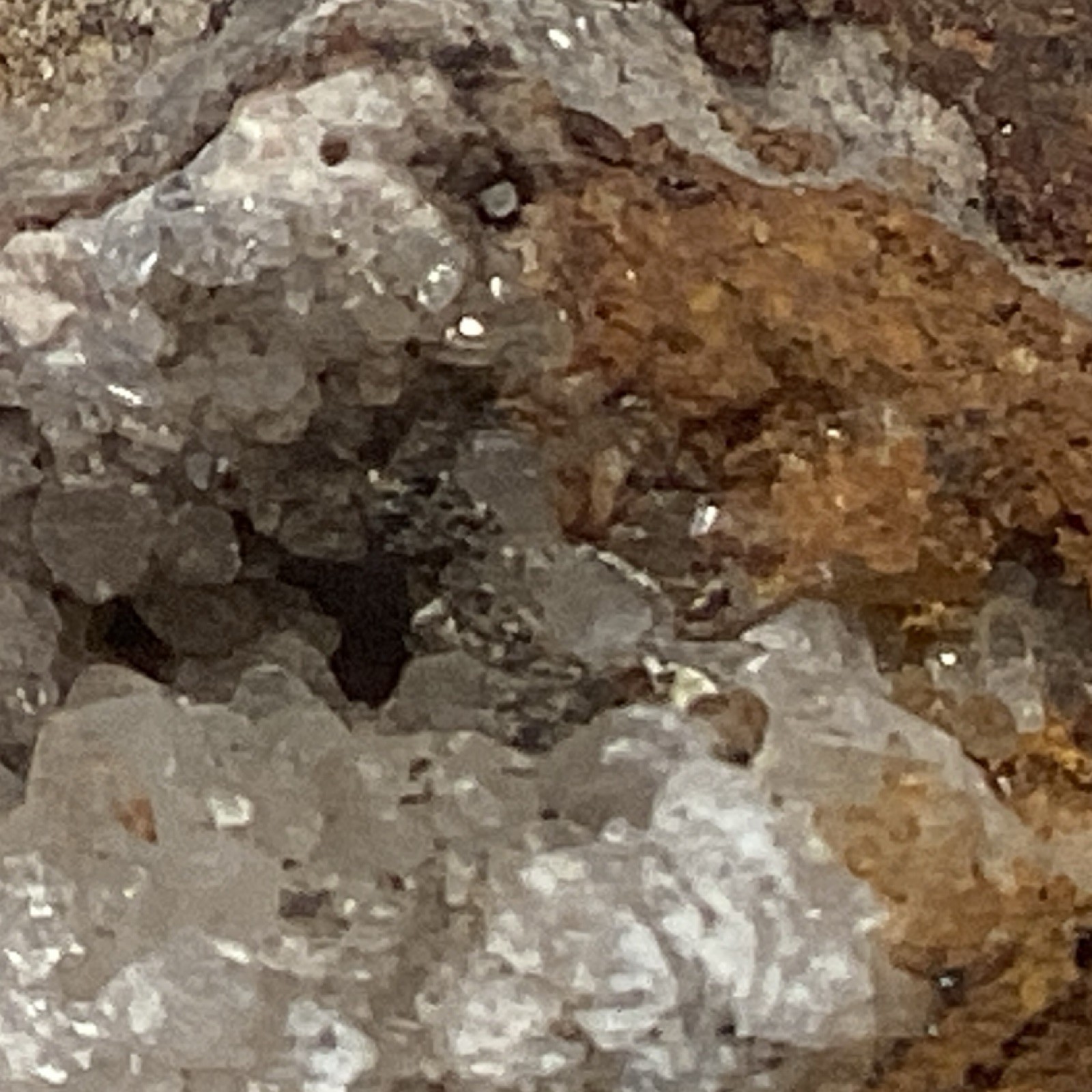 Brown and White Crystal Mineral Specimen .Q