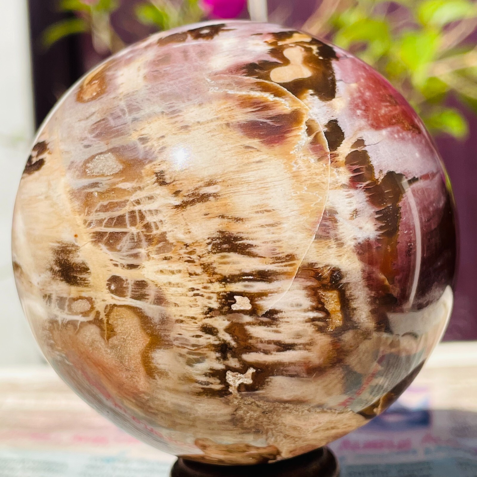 488g Natural Red Petrified Wood Crystal Ball Fossil Polished Sphere Specimen