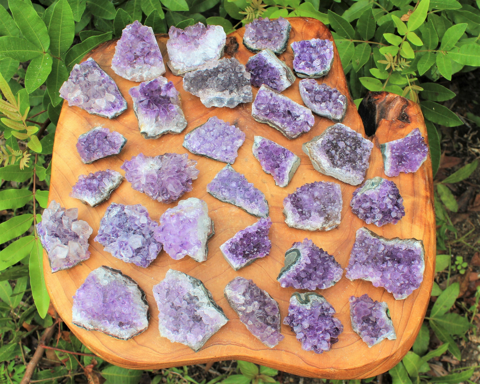 Wholesale Bulk Lot: 5 lb Amethyst Cluster Crystal Geode Small Specimens