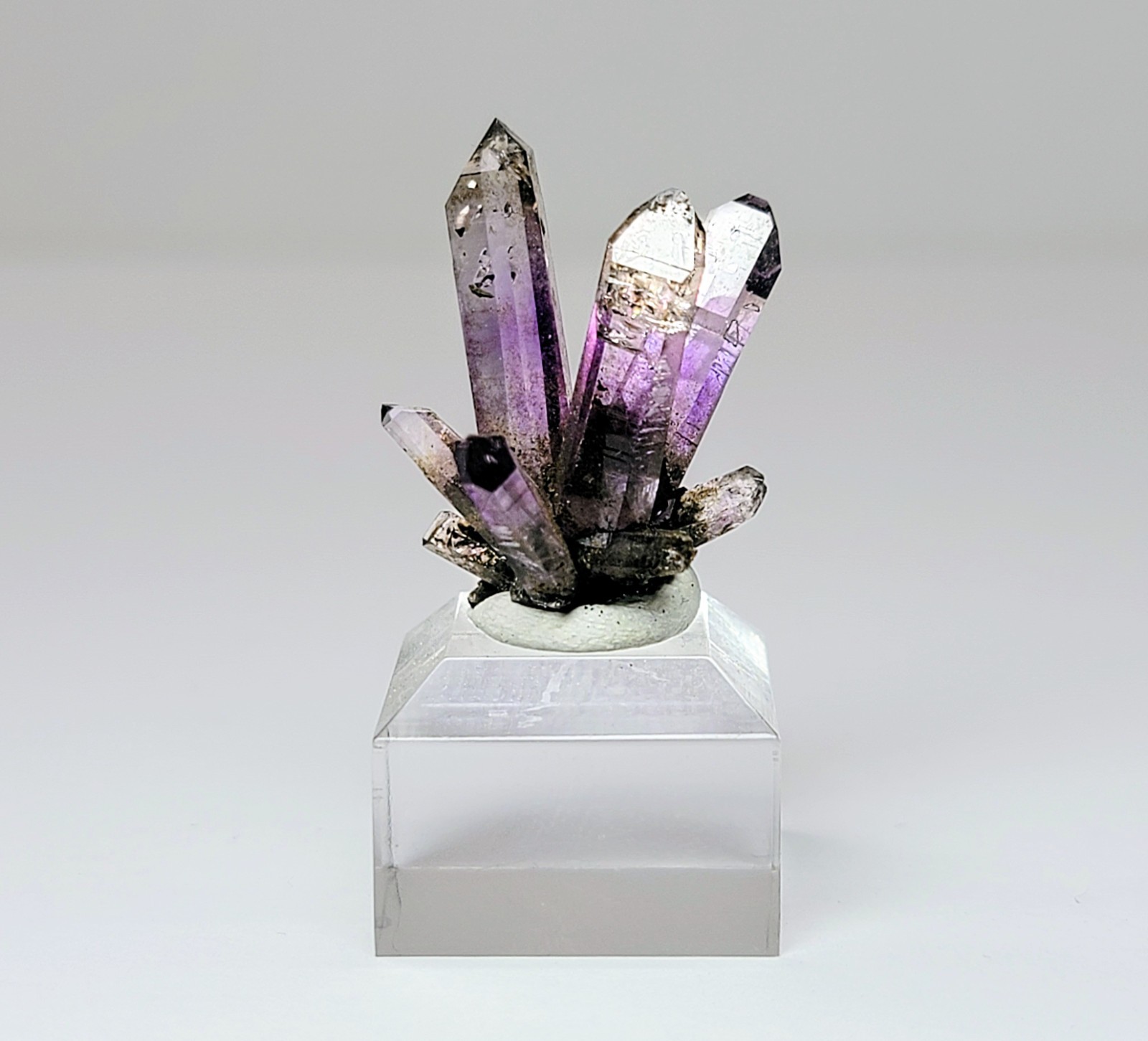 Stunning Amethyst Spray – Deep Purple Pocket, Piedra Porada, Veracruz, Mexico