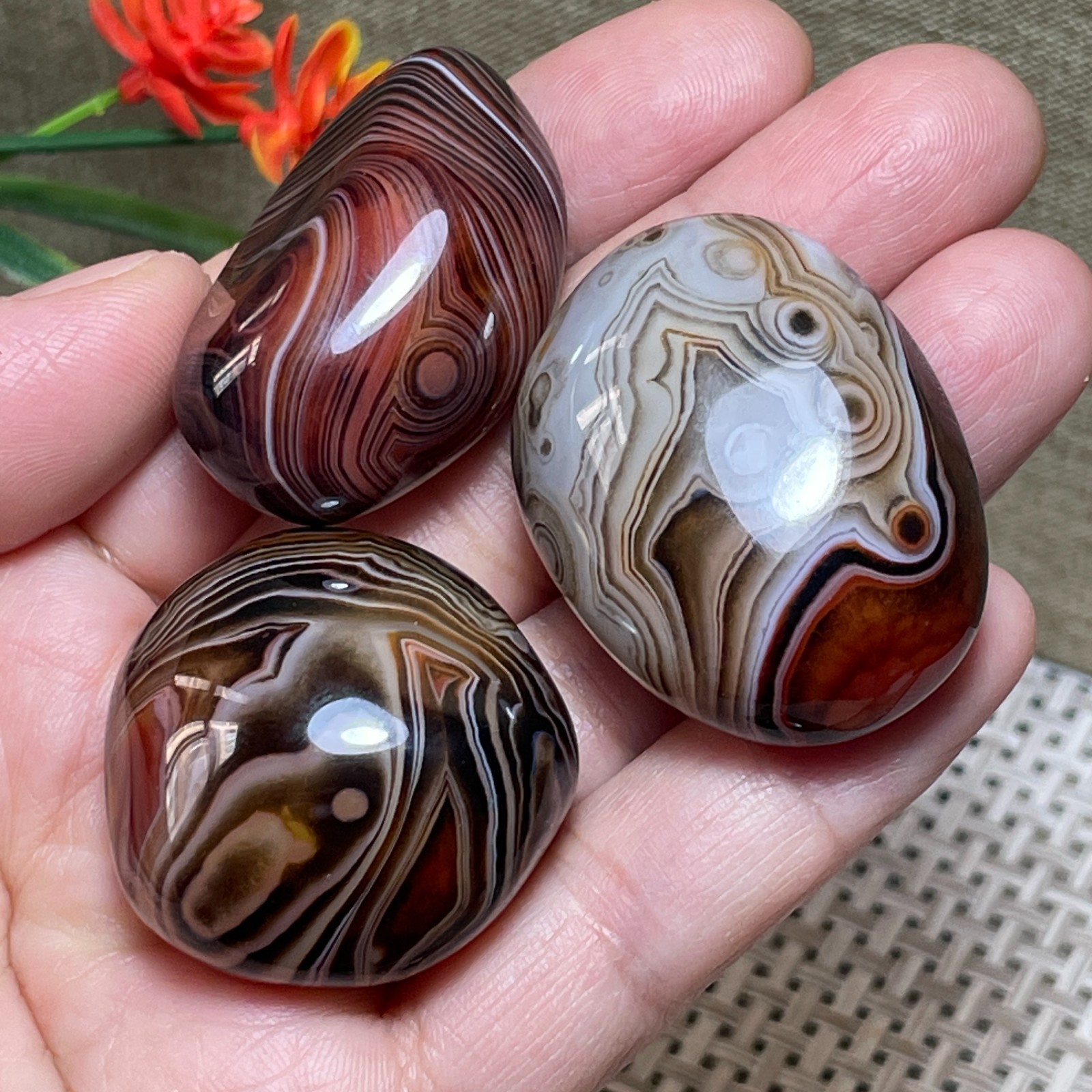 3pcs Crazy Lace SILK Banded Agate Polished Tumbled Stone Madagascar Decor 84g