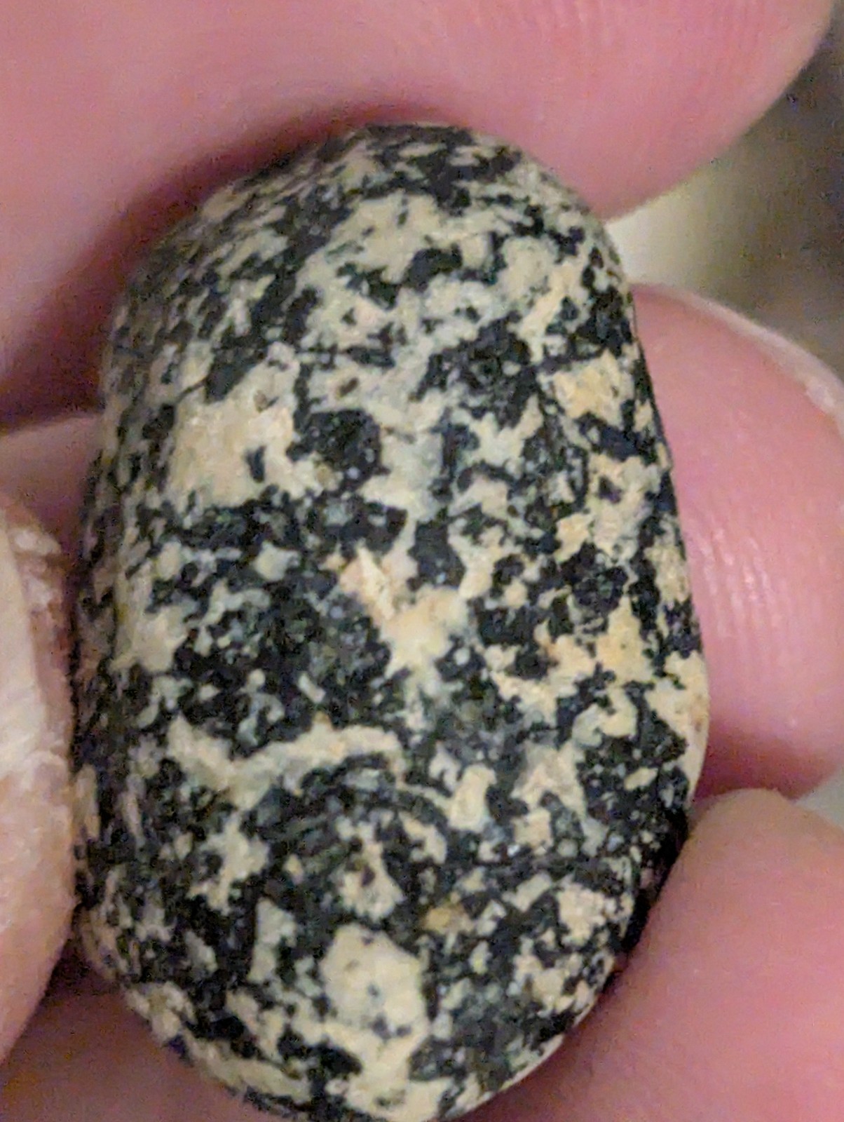 Black & Beige Colored Stone