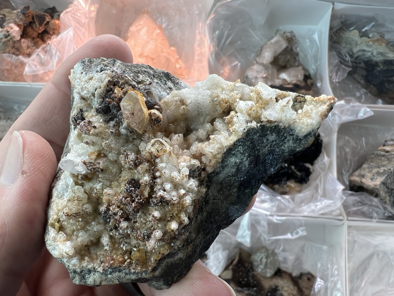 12 Quartz & Siderite Specimens – Potosí Mine, Santa Eulalia, Chihuahua, Mexico