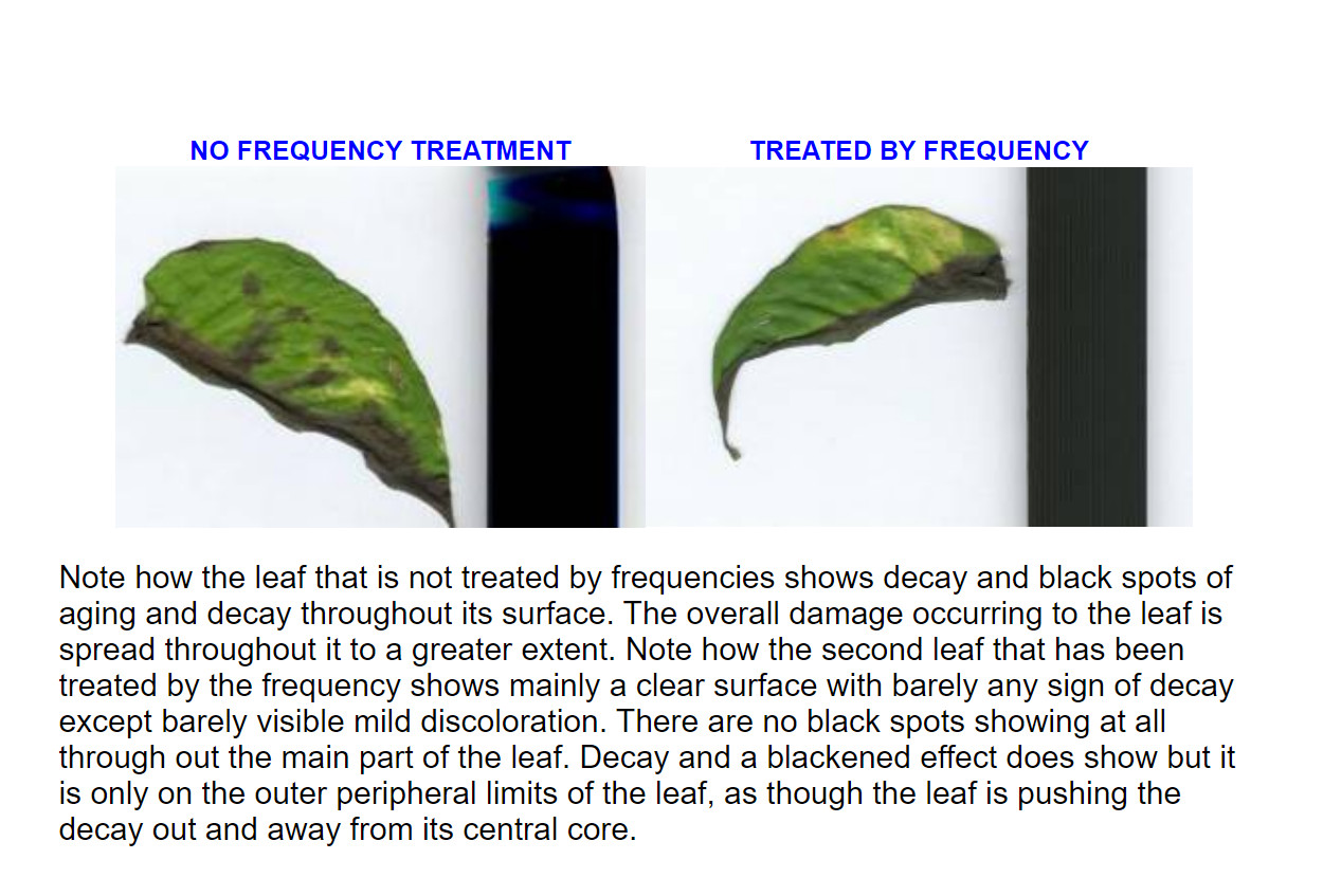 Frequencies for PRANAVIEW AURA GLASSES GOGGLES KILNASCRENE Dicyanin PRANA VIEW