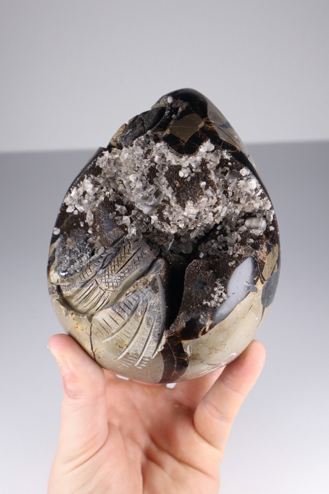 Huge Septarian Dragon Egg 4.3lb Calcite Crystal Cave Fossil Shell Display Stone