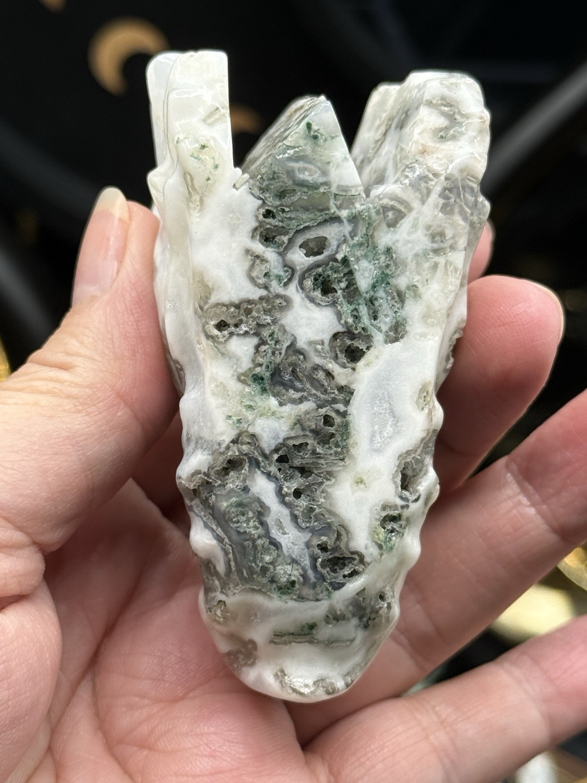 Natural Tree Agate Dragon Head Skull Good size Great price Free ship & gift