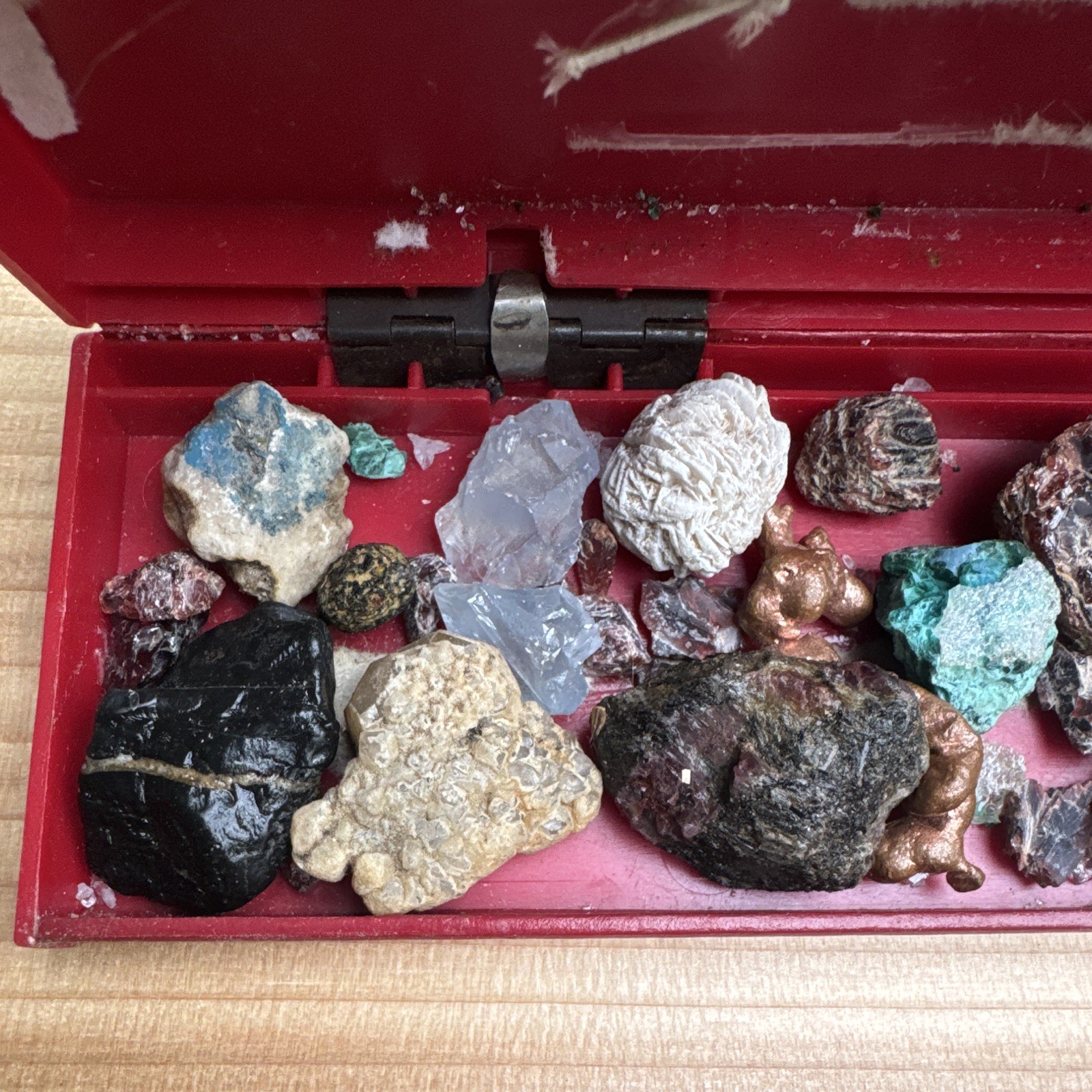 Mixed Lot Rough Rock, Crystal & Mineral Specimens in Red Case (Various)