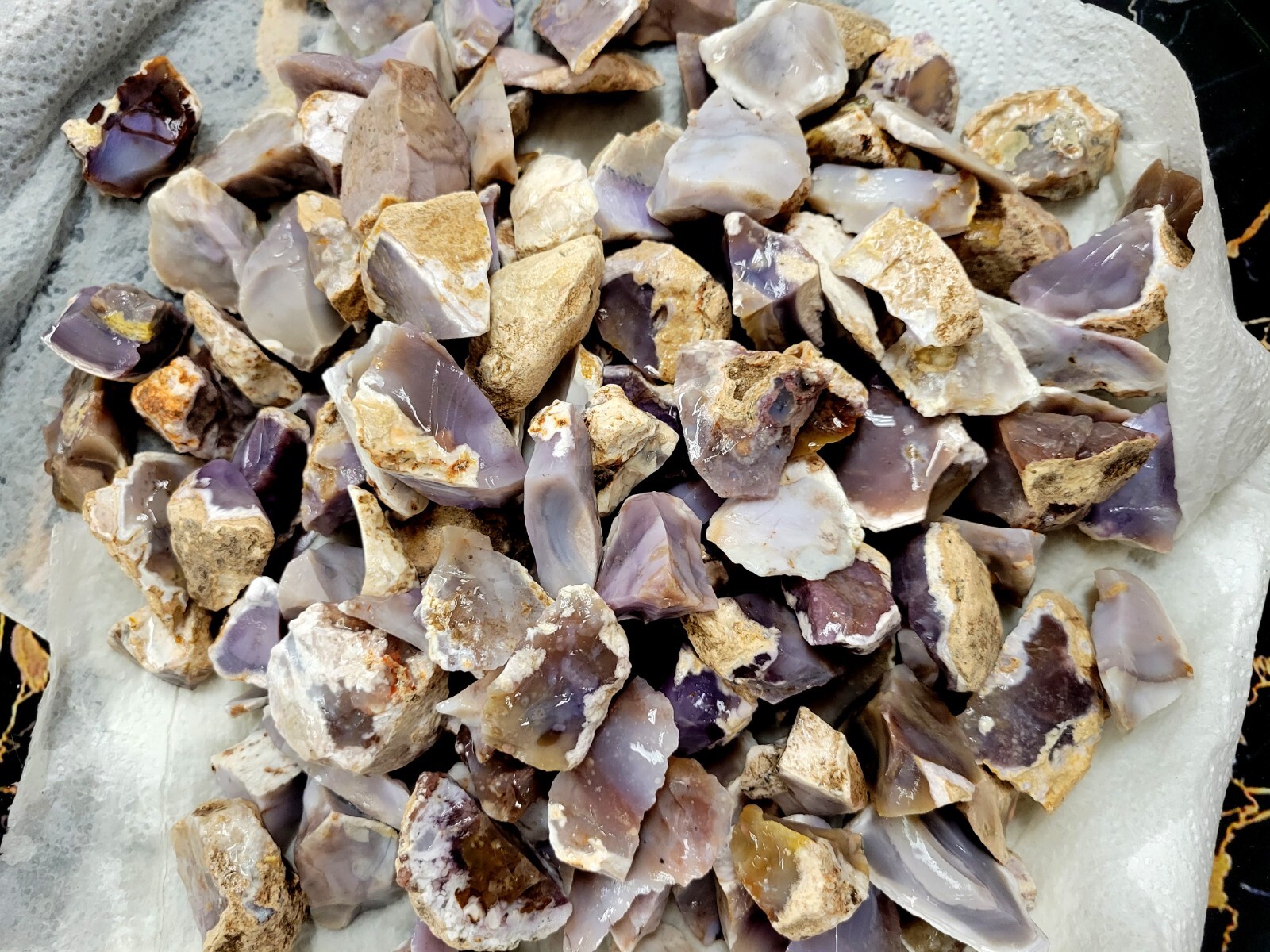 Natural Purple Agate Rough Crystal Stones from Mexico Bulk Wholesale Gems