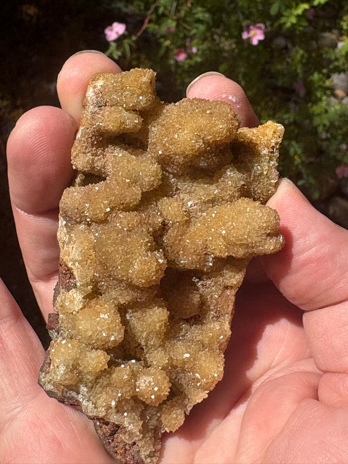 Smithsonite, yellow, Monte Cristo mine, Rush, Arkansas, USA