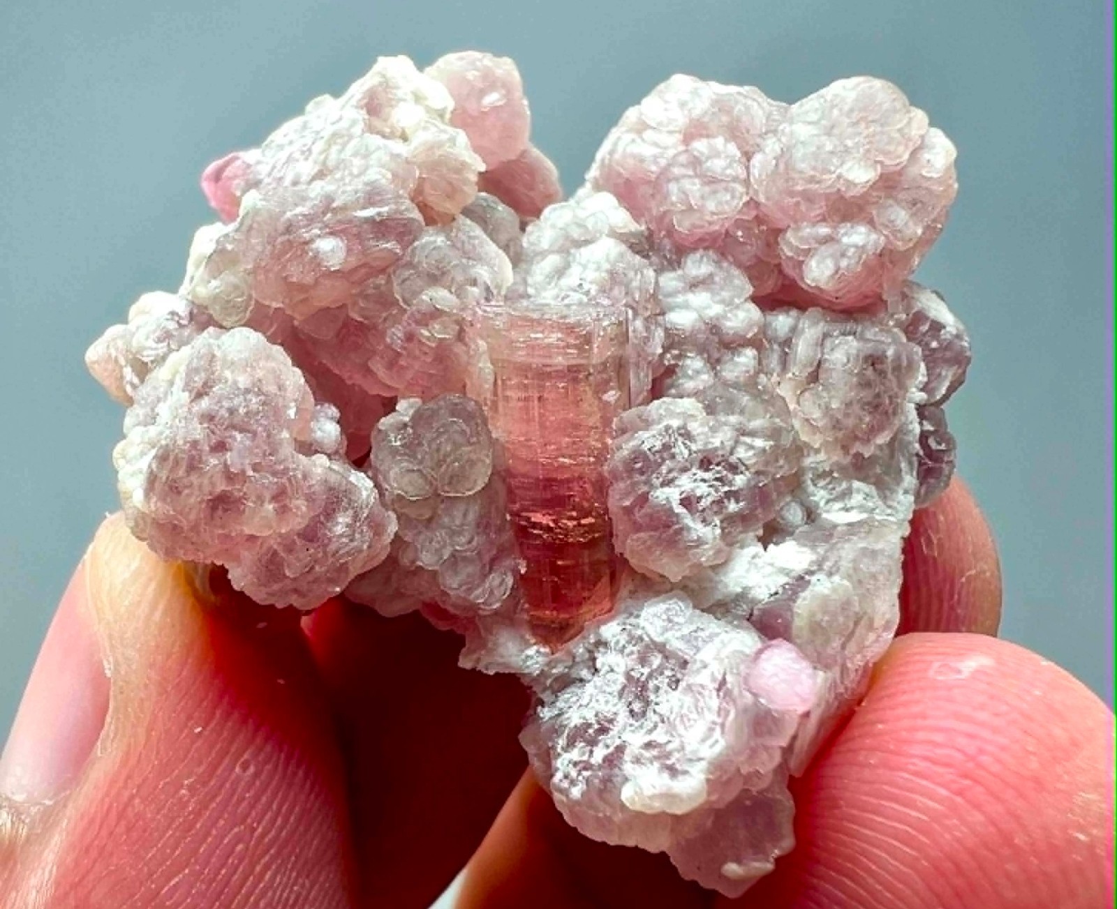88 Carat Ultra Rare !!! Pink Color Tourmaline Crystals On Mica @Afg