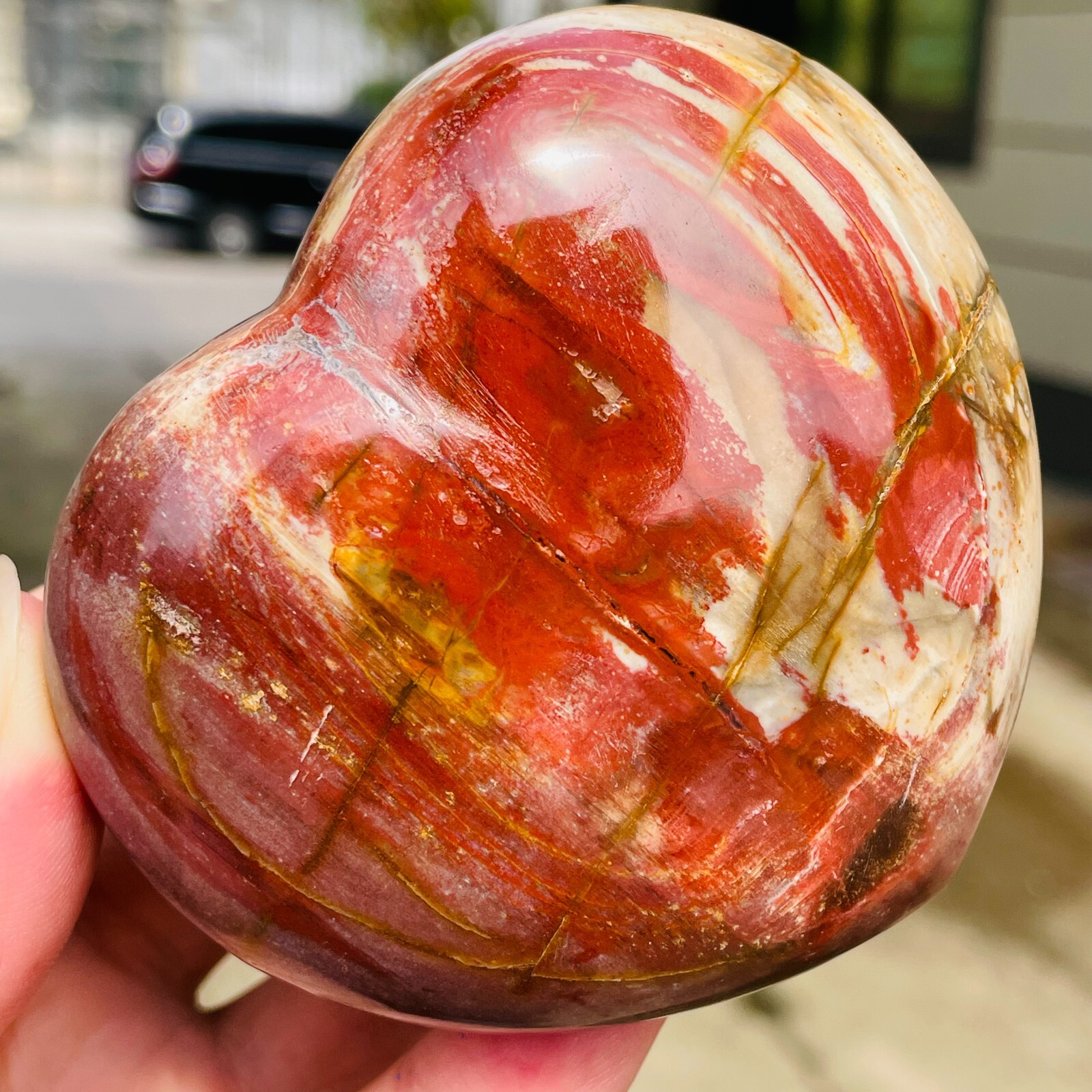 364g Natural Petrified Wood Jade Quartz Crystal Fossil Heart Shape Specimen