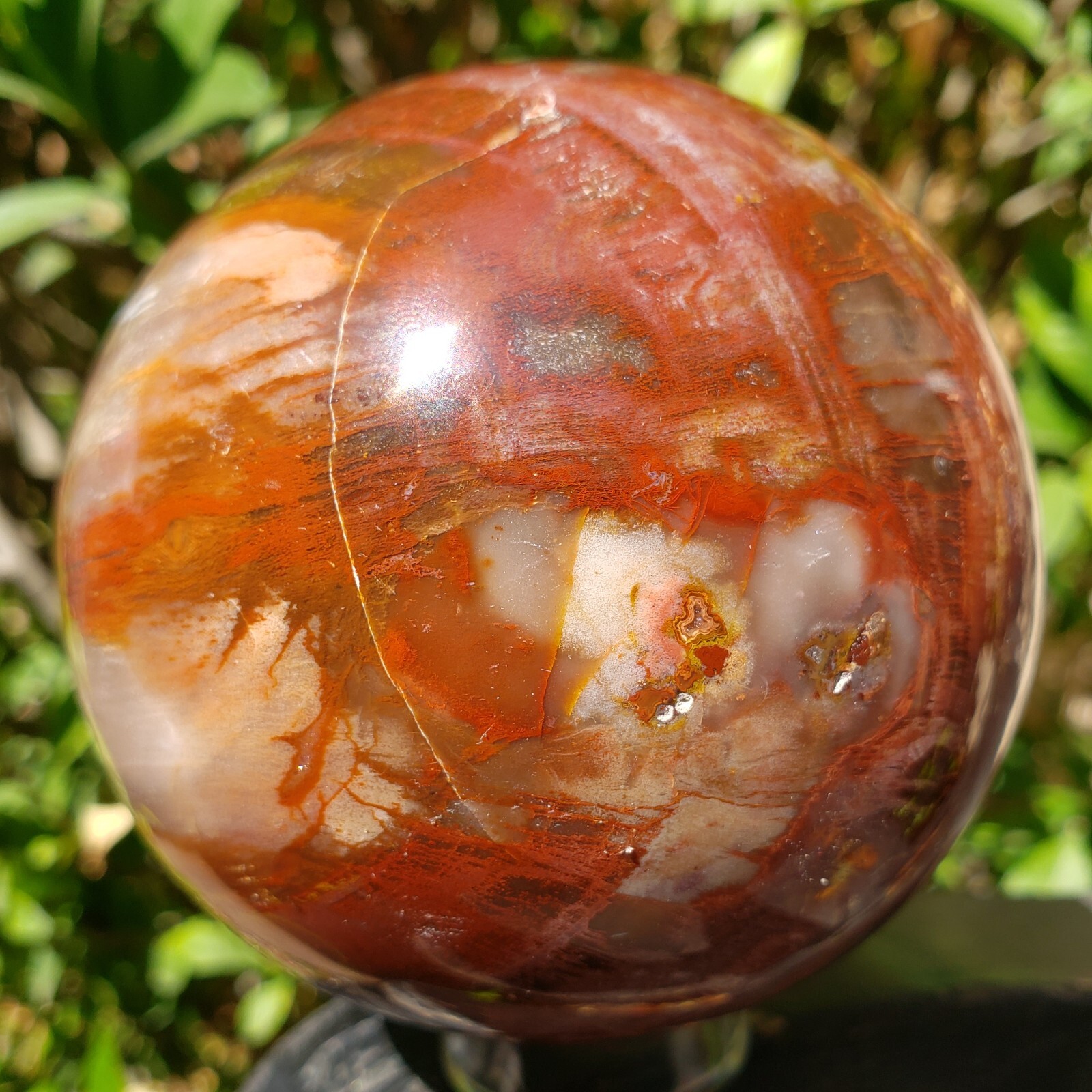 3.36″ Red Petrified Wood Sphere Orb Quartz Crystal Ball Fossil Mineral UV, 865g