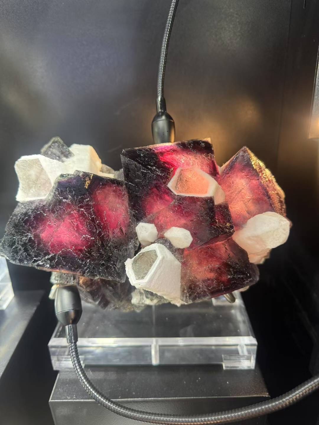 13.5LB Museum level Seven Colored Fluorite and White Crystal Symbiotic Specimen