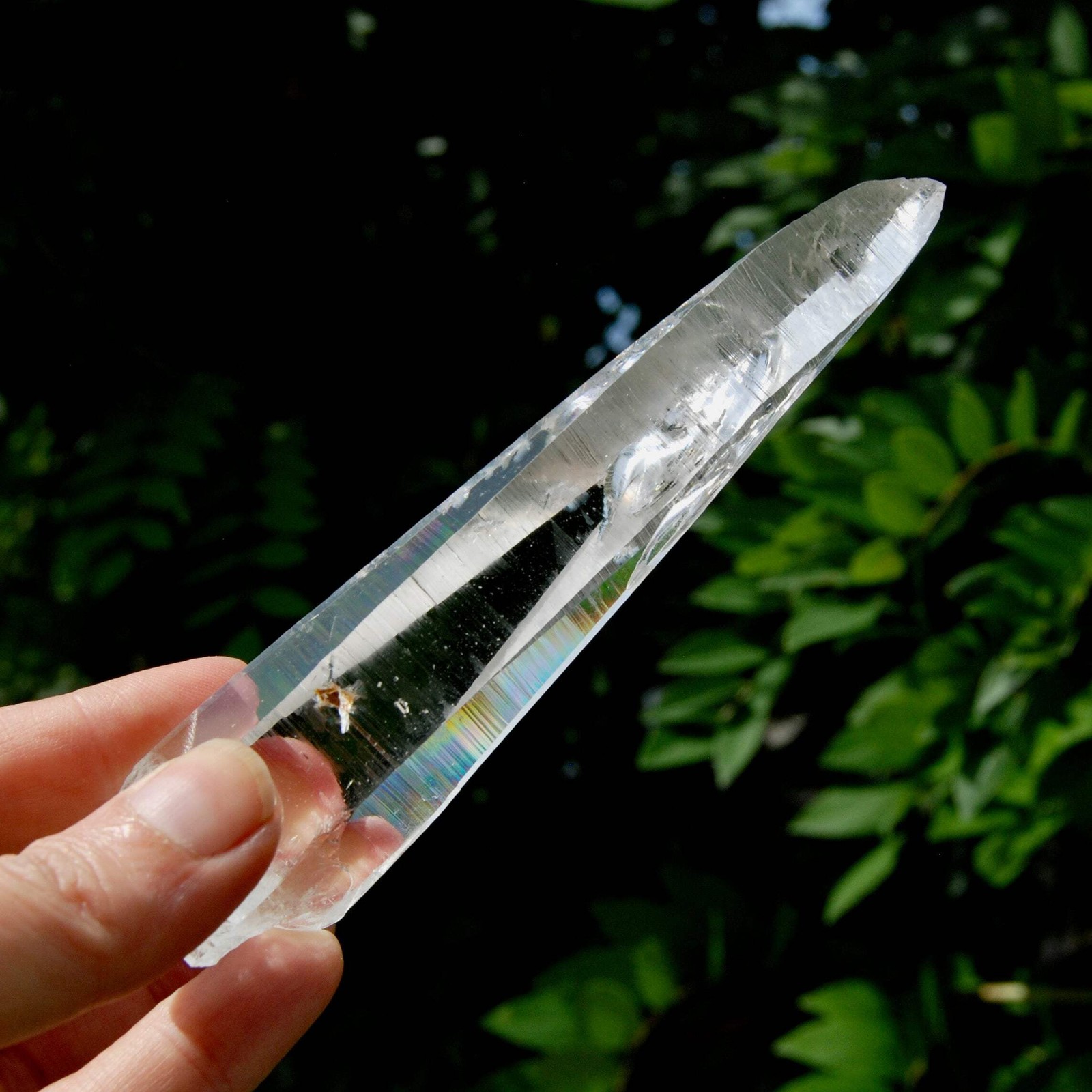 Lemurian Crystal Laser Starbary – 5.25″ 111g Etched Optical Empathic Warrior Qua