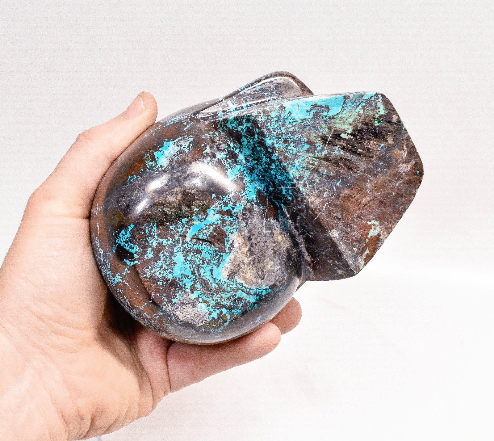 7.44″ Polished CHRYSOCOLLA MALACHITE QUARTZ Skull and Raven Carving Peru T728