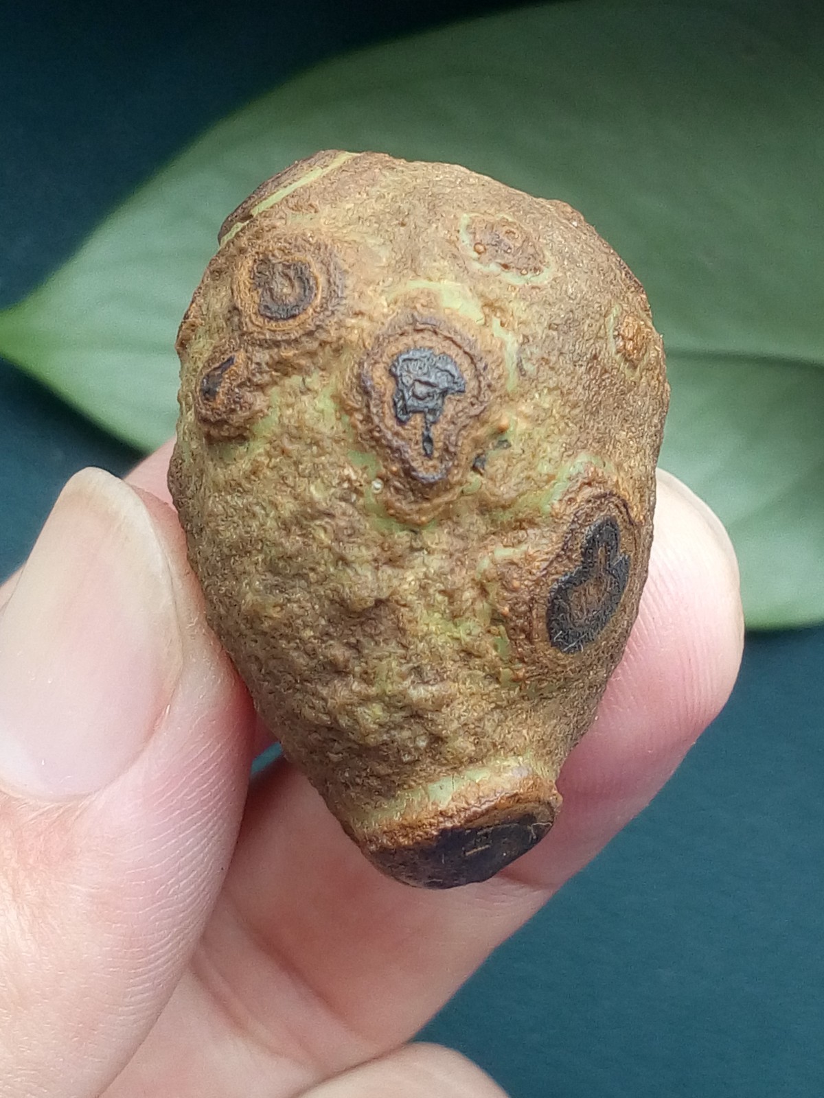 36mm/40g Natural Gobi agate eye agate stone collection