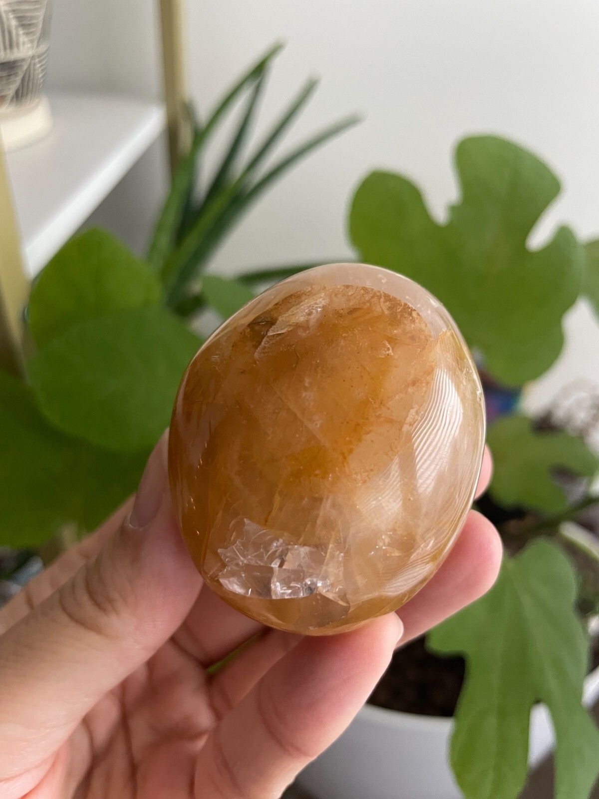 Polished Golden Healer Palm / Palmstone, Medium, approx. 2″H, 108 grams